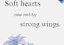 design an aesthetic quote poster